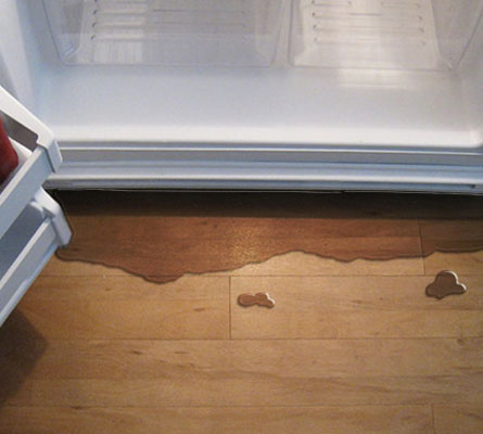 Refrigerator leaking water